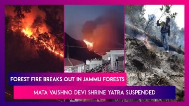 Forest Fire Breaks Out In Jammu Forests, Mata Vaishno Devi Shrine Yatra Suspended